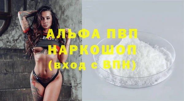 ECSTASY Михайлов
