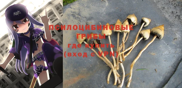 ECSTASY Михайлов
