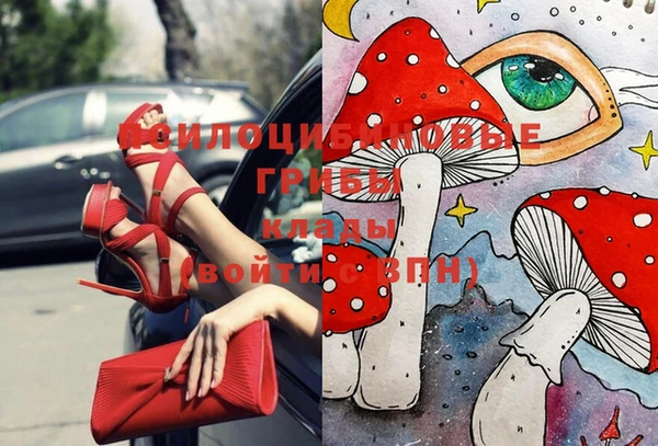 ПСИЛОЦИБИНОВЫЕ ГРИБЫ Михайловка