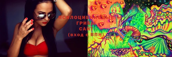 ПСИЛОЦИБИНОВЫЕ ГРИБЫ Михайловка